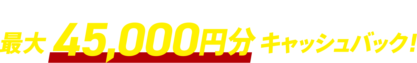 対象レグザ購入で最大45000円分キャッシュバック!